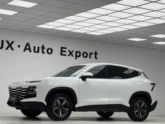 Jetour Jietu Dasheng 1.5T Manual Star Shine - ფოტო 13