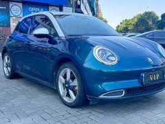 Ora Good Cat 2021 500km Long Range Poseidon Edition Ternary Lithium Battery - ფოტო 3