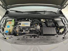 Trumpchi Leopard 270T DCT J15 - ფოტო 10