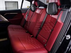BMW 5 Series 530Li Luxury M Sport Package - ფოტო 20