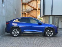 NIO EC6 2020 615KM Signature Edition - ფოტო 7