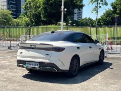 BYD Dolphin 06 DM-i Smart Drive Edition 80KM Luxury - ფოტო 14