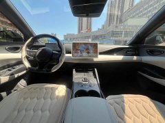 BYD Dolphin 06 DM-i Smart Drive Edition 80KM Luxury - ფოტო 8
