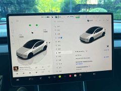 Tesla Model Y Rear-Wheel Drive - ფოტო 11