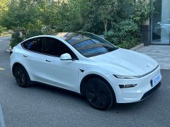 Tesla Model Y Rear-Wheel Drive - ფოტო 2