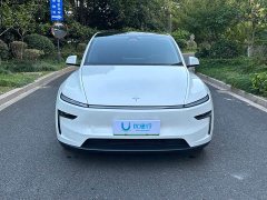 Tesla Model Y Rear-Wheel Drive - ფოტო 3