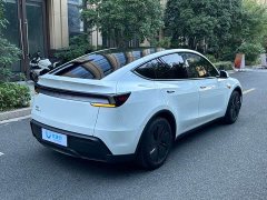 Tesla Model Y Rear-Wheel Drive - ფოტო 4