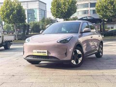 Geely Xing Yuan 310km Dream Edition - ფოტო 1