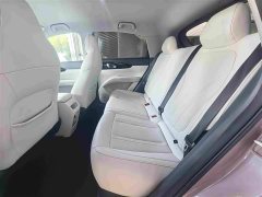 Geely Xing Yuan 310km Dream Edition - ფოტო 6