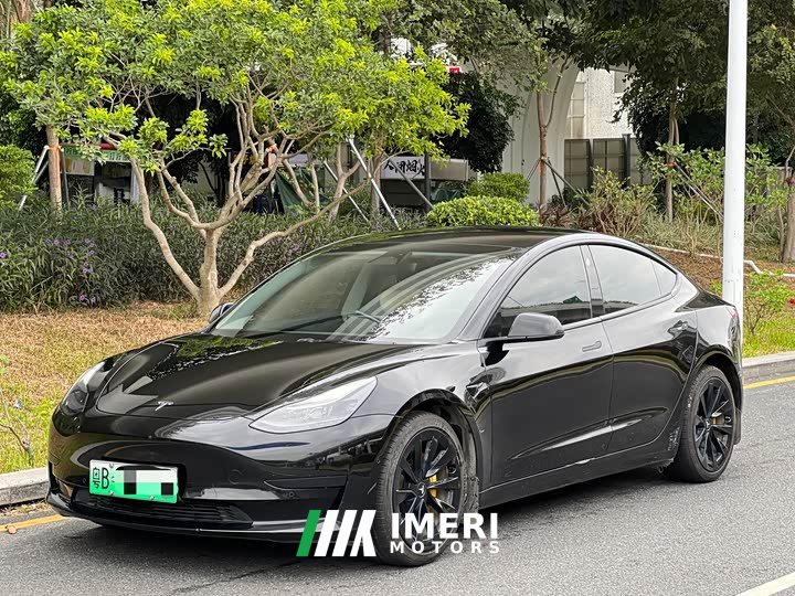 Tesla Model 3 Facelift Standard Range RWD Upgrade 3D1 - ავტომობილი ჩინეთიდან