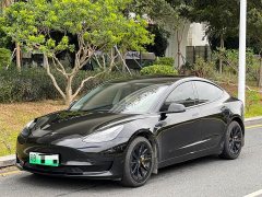 Tesla Model 3 Facelift Standard Range RWD Upgrade 3D1 - ფოტო 1