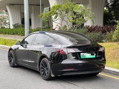 Tesla Model 3 Facelift Standard Range RWD Upgrade 3D1 - ფოტო 5