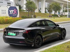 Tesla Model 3 Facelift Standard Range RWD Upgrade 3D1 - ფოტო 7
