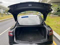 Tesla Model 3 Facelift Standard Range RWD Upgrade 3D1 - ფოტო 8