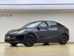 Tesla Model Y Rear-Wheel Drive - ფოტო 1
