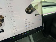Tesla Model Y Rear-Wheel Drive - ფოტო 12