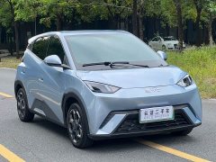 BYD Seagull 2025 405km Flying Edition - ფოტო 3