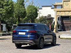 Chery Tiggo 8 PLUS 290TGDI DCT Passion Edition - ფოტო 4