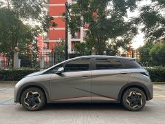 BYD Dolphin 405km Fashion Edition - ფოტო 4