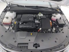 BYD Destroyer 05 Glory Edition DM-i 55KM Luxury - ფოტო 10