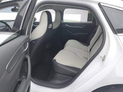 BYD Destroyer 05 Glory Edition DM-i 55KM Luxury - ფოტო 11