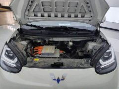 Wuling Binguo 203km Light Enjoy Edition - ფოტო 10