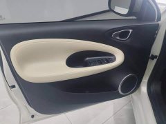 Wuling Binguo 203km Light Enjoy Edition - ფოტო 7