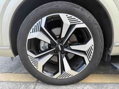 Great Wall WEY Blue Mountain 2023 Four-Wheel Drive Extended Range Version - ფოტო 14
