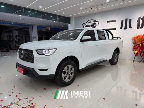 2023 Leapmotor Cannon 2021 2.0T Commercial Auto Gasoline 4WD Elite Standard Box GW4C20B - ავტომობილი ჩინეთიდან