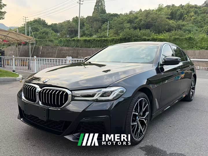 BMW 5 Series 530Li Luxury M Sport Package