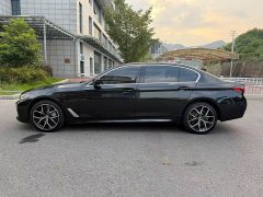 BMW 5 Series 530Li Luxury M Sport Package - ფოტო 16