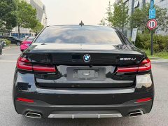 BMW 5 Series 530Li Luxury M Sport Package - ფოტო 18