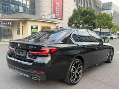BMW 5 Series 530Li Luxury M Sport Package - ფოტო 19