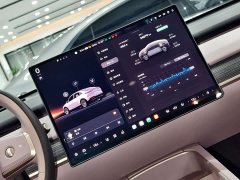 Nio Lerado L60 2024 60kWh Rear-Wheel Drive - ფოტო 14