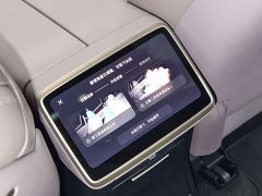 Nio Lerado L60 2024 60kWh Rear-Wheel Drive - ფოტო 15