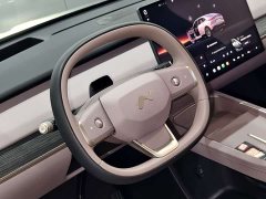 Nio Lerado L60 2024 60kWh Rear-Wheel Drive - ფოტო 8