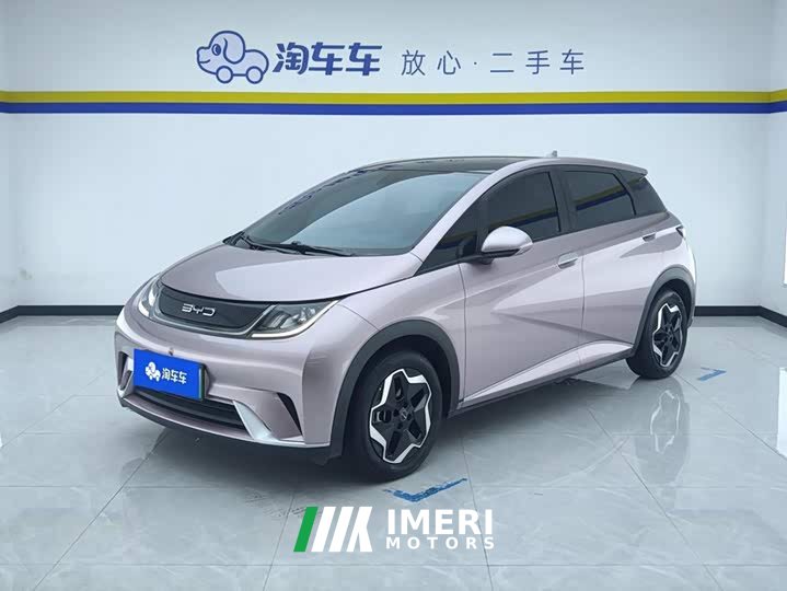 BYD Dolphin 405km Fashion Edition - ავტომობილი ჩინეთიდან