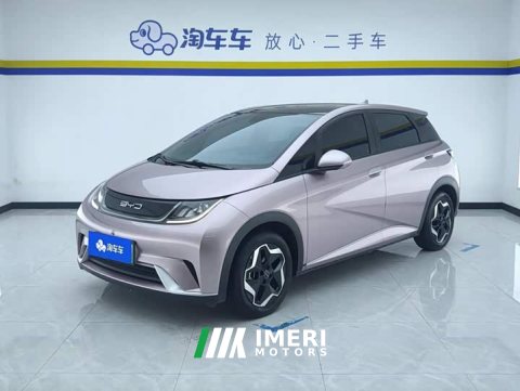 2023 BYD Dolphin 405km Fashion Edition - ავტომობილი ჩინეთიდან