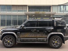 Jetour Jietu Traveler 2023 2.0T AWD Traverse PRO - ფოტო 13