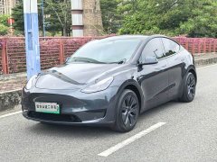 Tesla Model Y Rear-Wheel Drive - ფოტო 1
