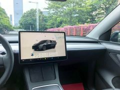 Tesla Model Y Rear-Wheel Drive - ფოტო 10