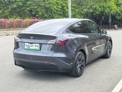Tesla Model Y Rear-Wheel Drive - ფოტო 19
