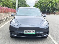 Tesla Model Y Rear-Wheel Drive - ფოტო 2