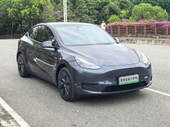 Tesla Model Y Rear-Wheel Drive - ფოტო 3