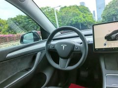Tesla Model Y Rear-Wheel Drive - ფოტო 7
