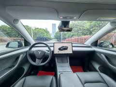 Tesla Model Y Rear-Wheel Drive - ფოტო 8