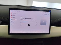 BYD Dolphin 06 DM-i Smart Drive Edition 80KM Luxury - ფოტო 13