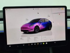 Tesla Model Y Rear-Wheel Drive - ფოტო 14