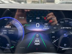 FAW Red Flag HS3 PHEV 117km Dynamic PLUS Edition - ფოტო 10