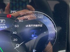 FAW Red Flag HS3 PHEV 117km Dynamic PLUS Edition - ფოტო 12